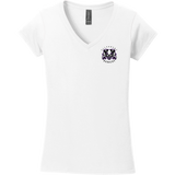 Lady Badgers Softstyle Ladies Fit V-Neck T-Shirt